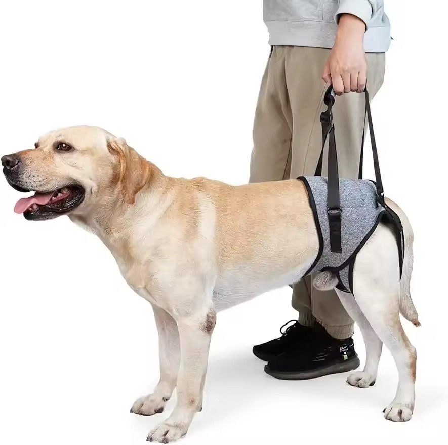 Lifting Belt - Verstellbarer Hunde-Tragegurt für Hinterbeine, Tragriemen, tragbarer