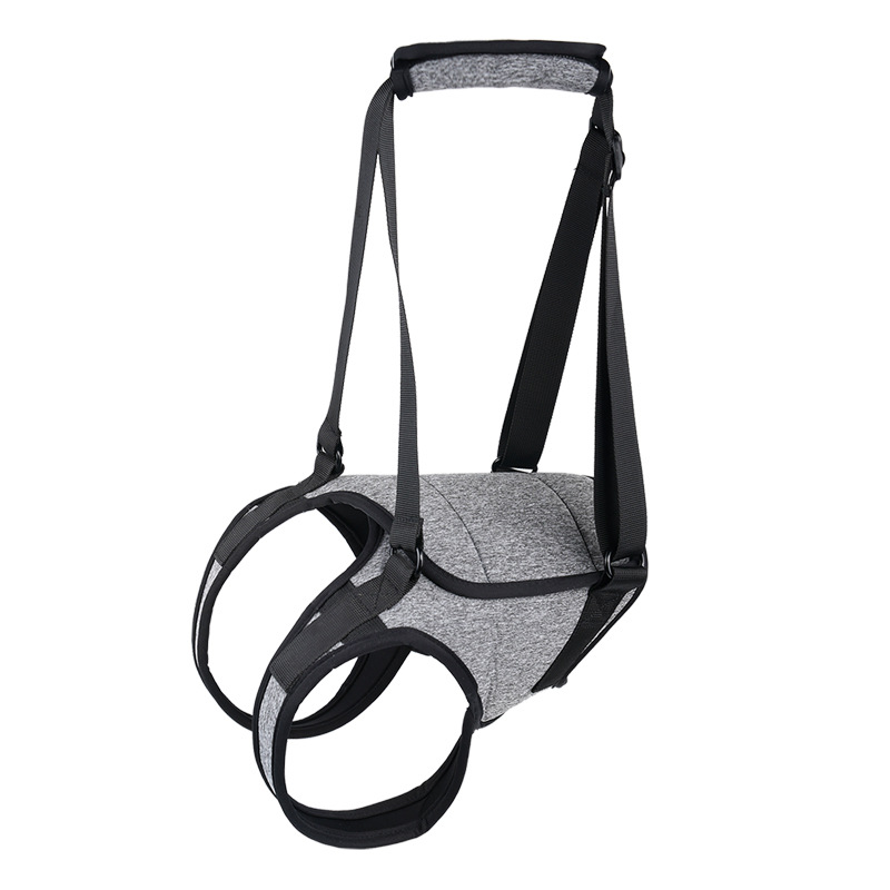 Verstellbarer Hunde-Tragegurt  – Lifting Belt Bewertung und Preis
